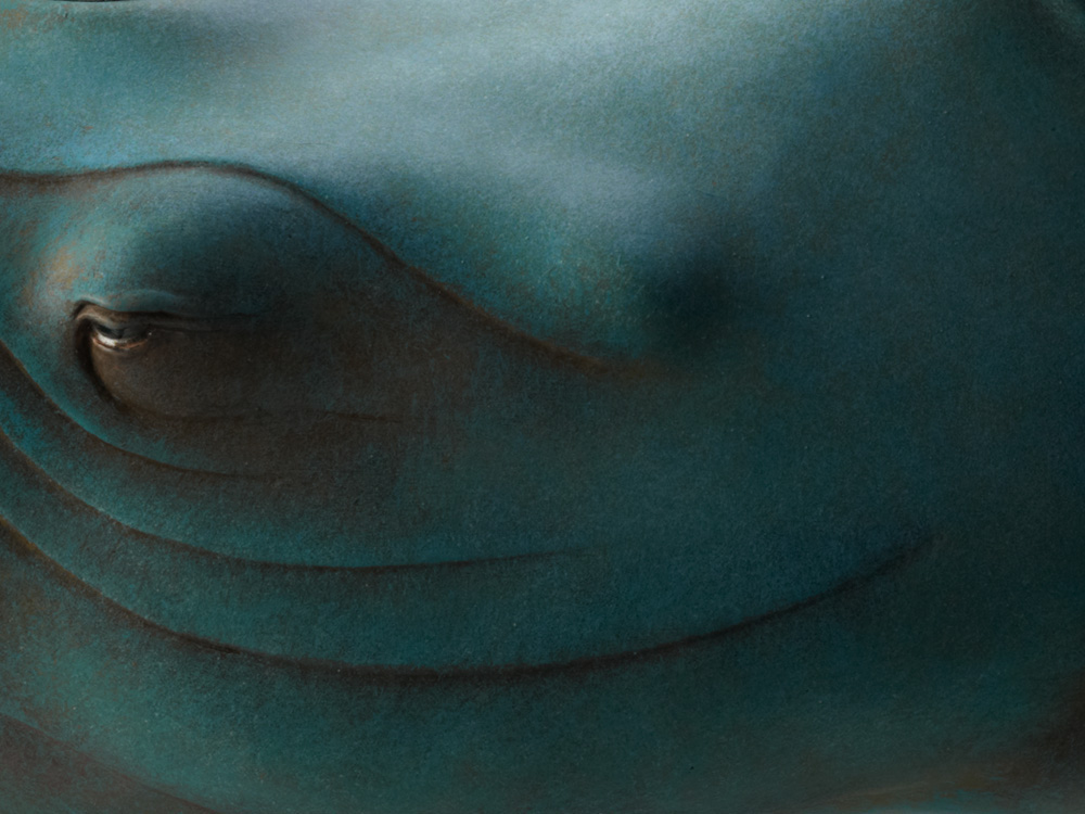 Surreal Animal Sculptures by Wang Ruilin