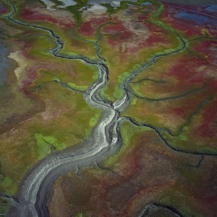 Colours of the Earth by Bernhard Edmaier