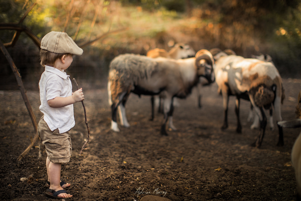 Moments by Adrian Murray