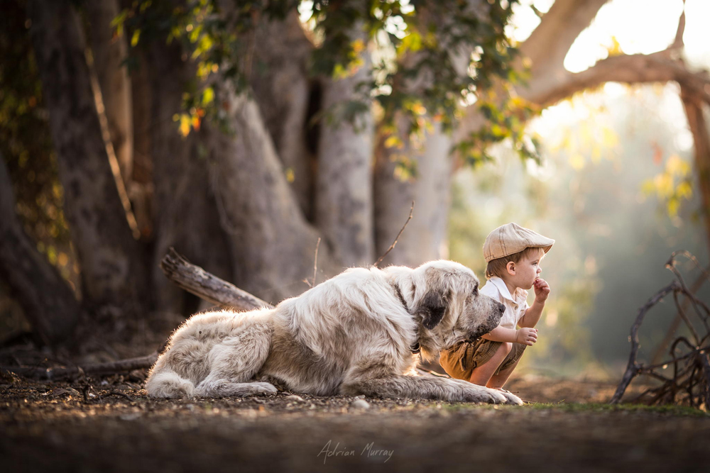 Moments by Adrian Murray