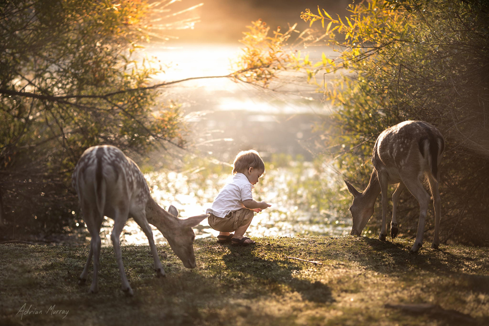 Moments by Adrian Murray