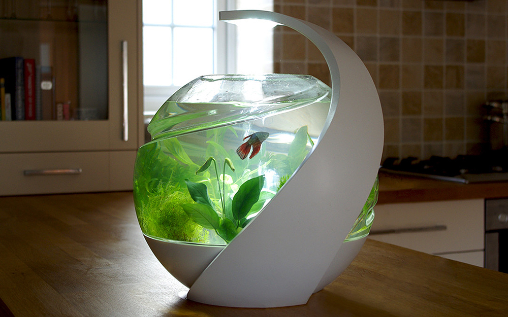 Avo - Self-Cleaning Fish Tank by Susan Shelley