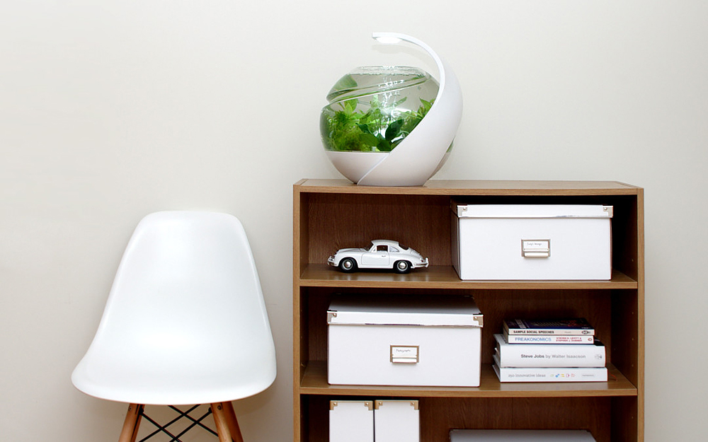 Avo - Self-Cleaning Fish Tank by Susan Shelley