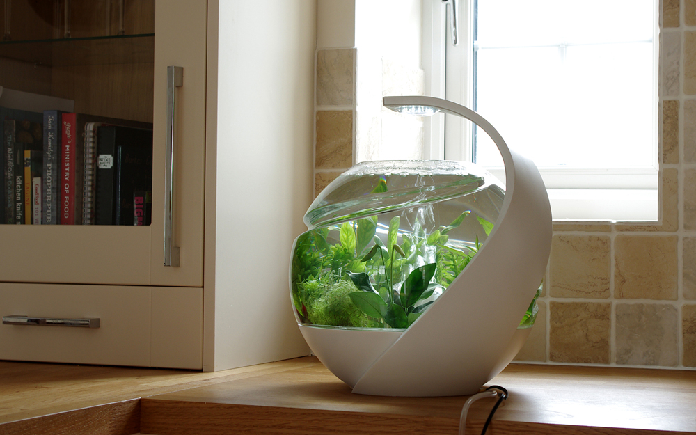 Avo - Self-Cleaning Fish Tank by Susan Shelley