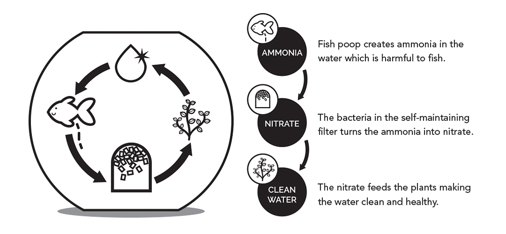 Avo - Self-Cleaning Fish Tank by Susan Shelley