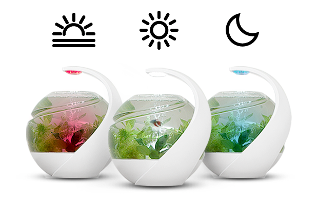 Avo - Self-Cleaning Fish Tank by Susan Shelley