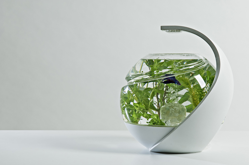 Avo - Self-Cleaning Fish Tank by Susan Shelley
