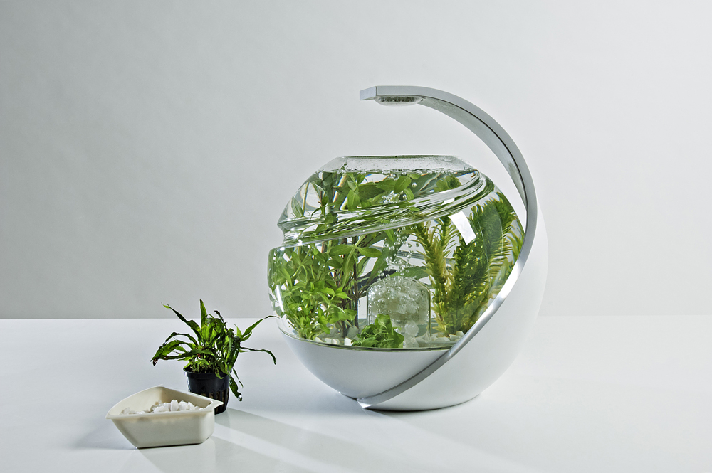 Avo - Self-Cleaning Fish Tank by Susan Shelley