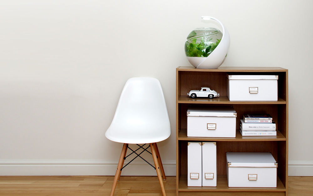 Avo - Self-Cleaning Fish Tank by Susan Shelley