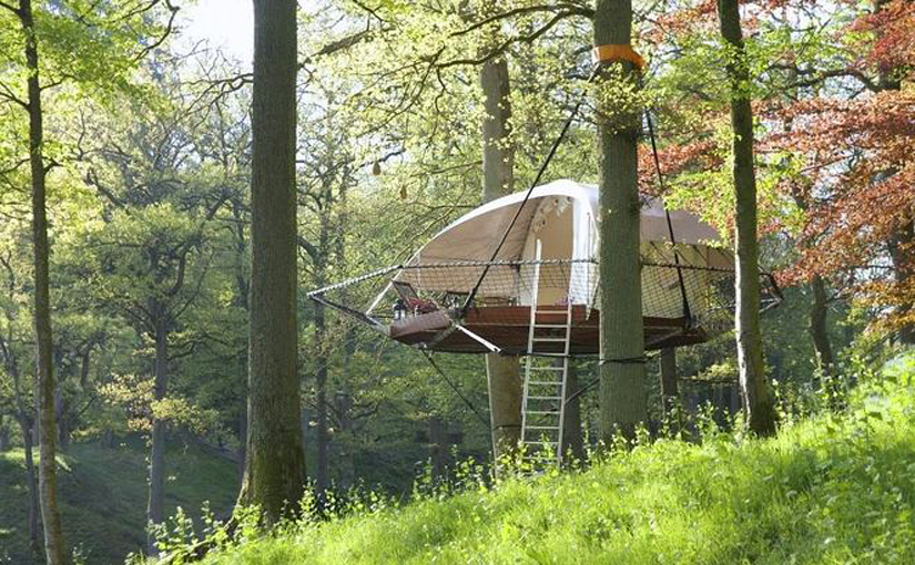 Dom'Up: Suspended Treehouse Cabin