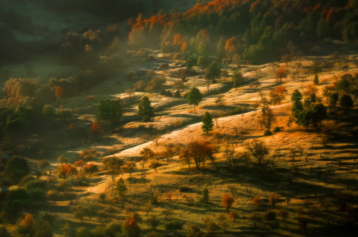 Picturesque Romania on Photos of Alex Robciuc