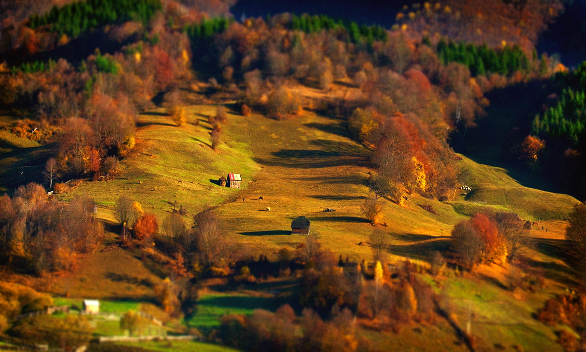 Picturesque Romania on Photos of Alex Robciuc