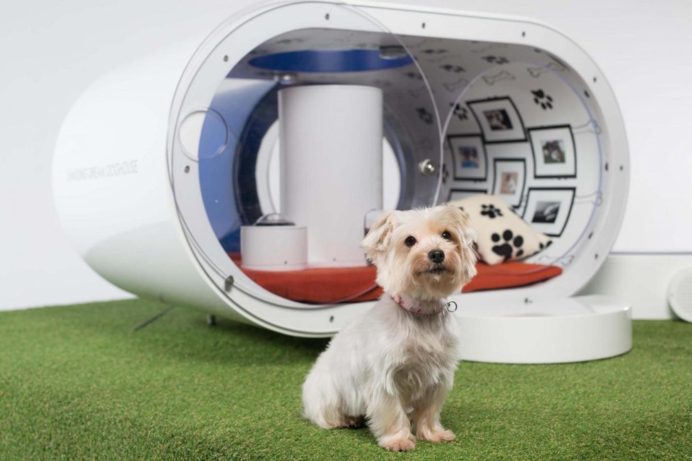 Luxurious Dream Doghouse by Samsung