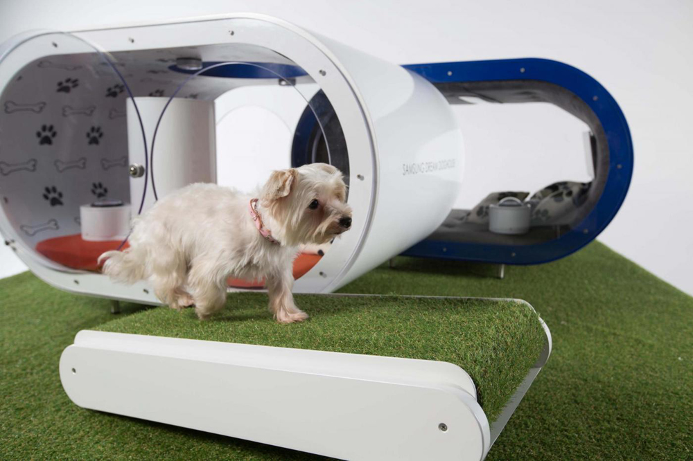 Luxurious Dream Doghouse by Samsung