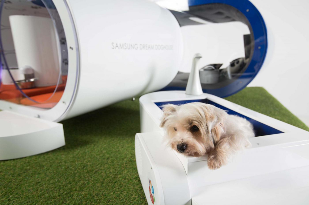 Luxurious Dream Doghouse by Samsung