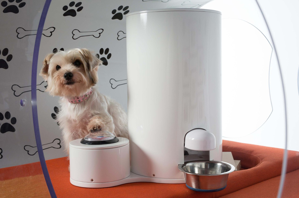 Luxurious Dream Doghouse by Samsung