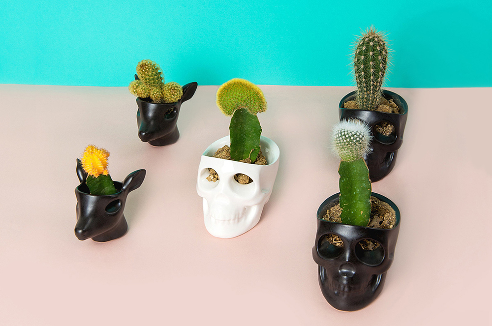 The Jacks: Unique Crying Candles