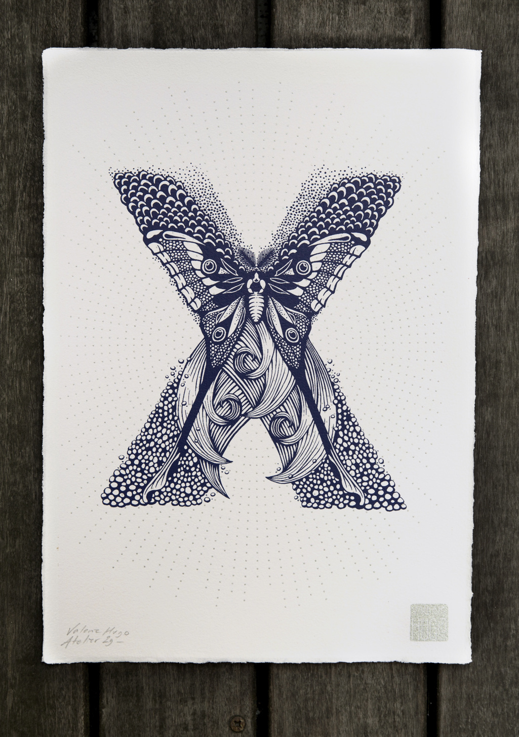 Nature Inspired Typography by Valérie Hugo