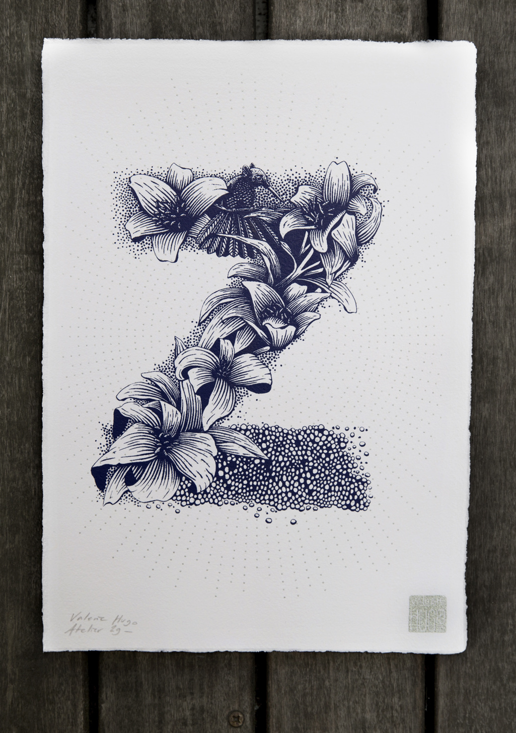 Nature Inspired Typography by Valérie Hugo