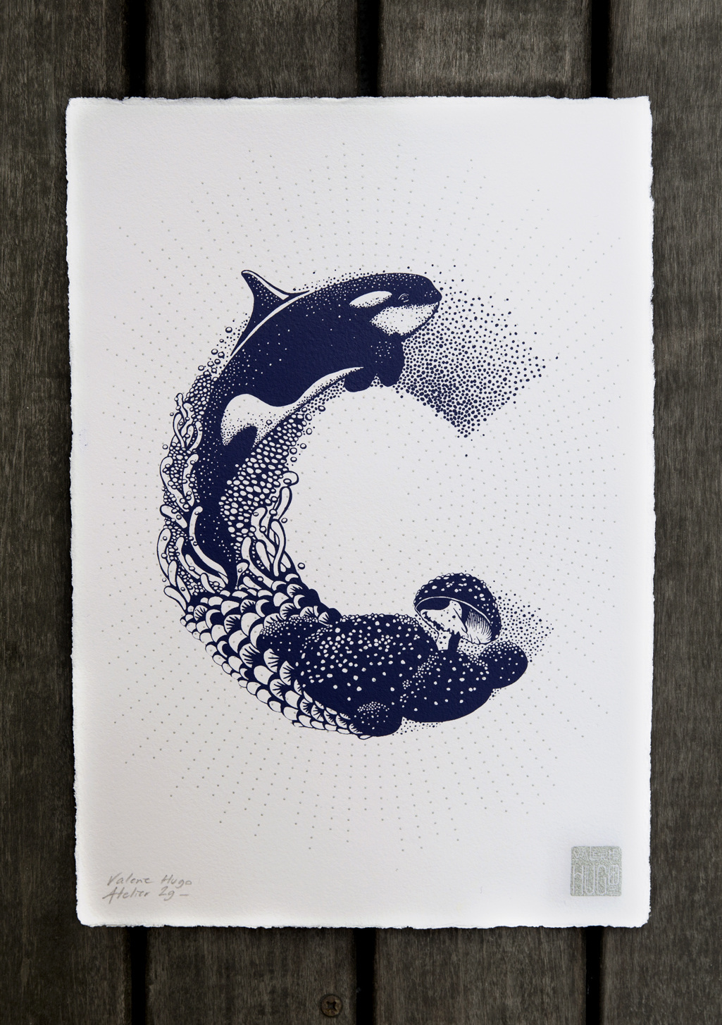 Nature Inspired Typography by Valérie Hugo