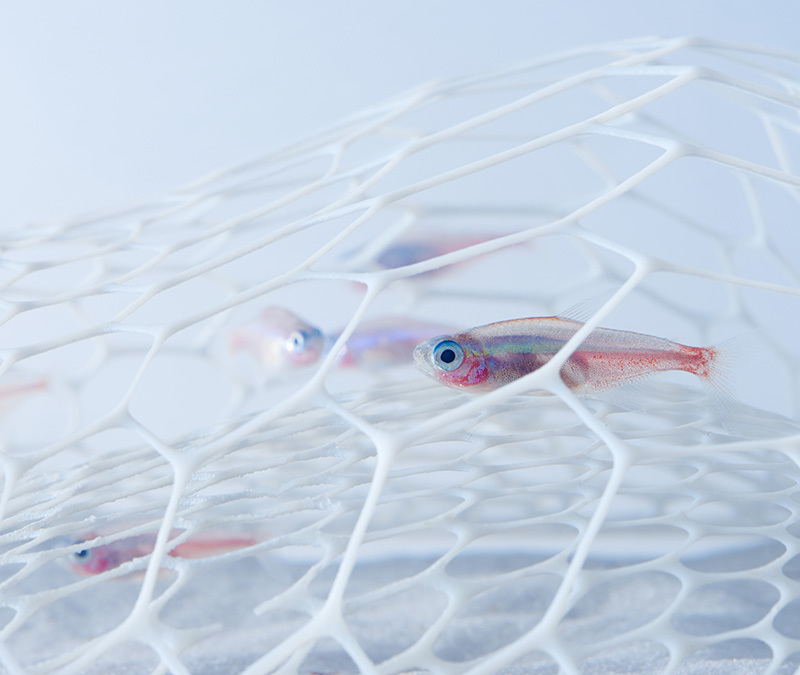 Aquariums Filled With 3D Printed Flora by Designer Haruka Misawa