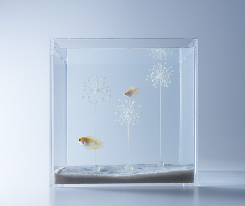 Aquariums Filled With 3D Printed Flora by Designer Haruka Misawa
