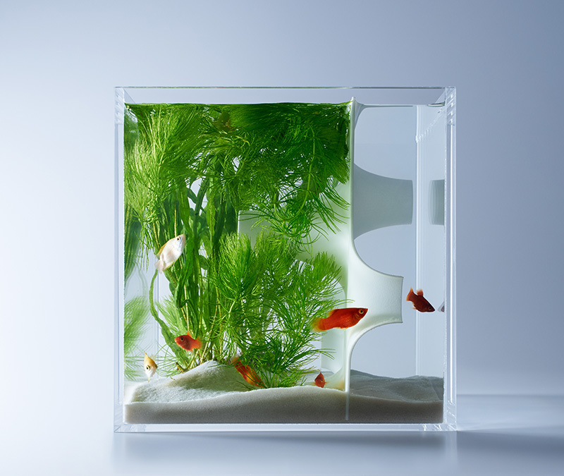 Aquariums Filled With 3D Printed Flora by Designer Haruka Misawa