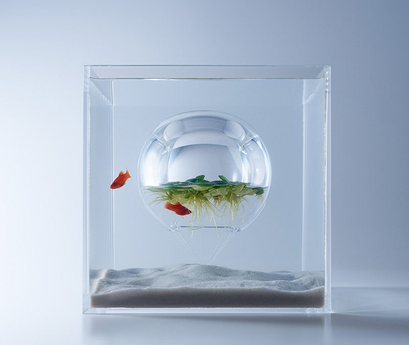 Aquariums Filled With 3D Printed Flora by Designer Haruka Misawa