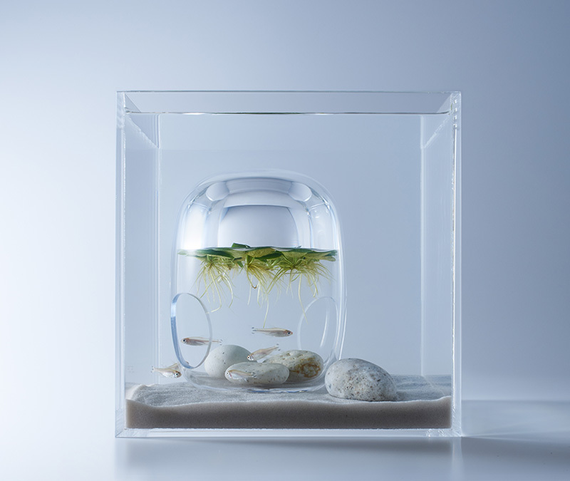 Aquariums Filled With 3D Printed Flora by Designer Haruka Misawa