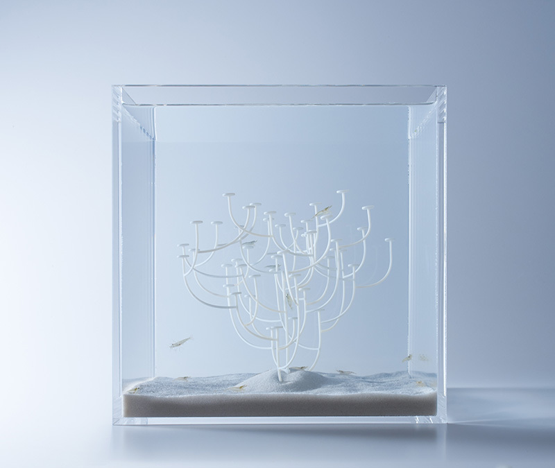 Aquariums Filled With 3D Printed Flora by Designer Haruka Misawa