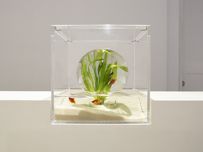 Aquariums Filled With 3D Printed Flora by Designer Haruka Misawa