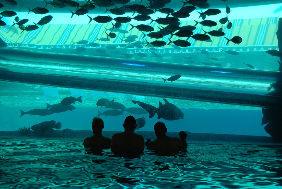 Golden Nugget, Las Vegas