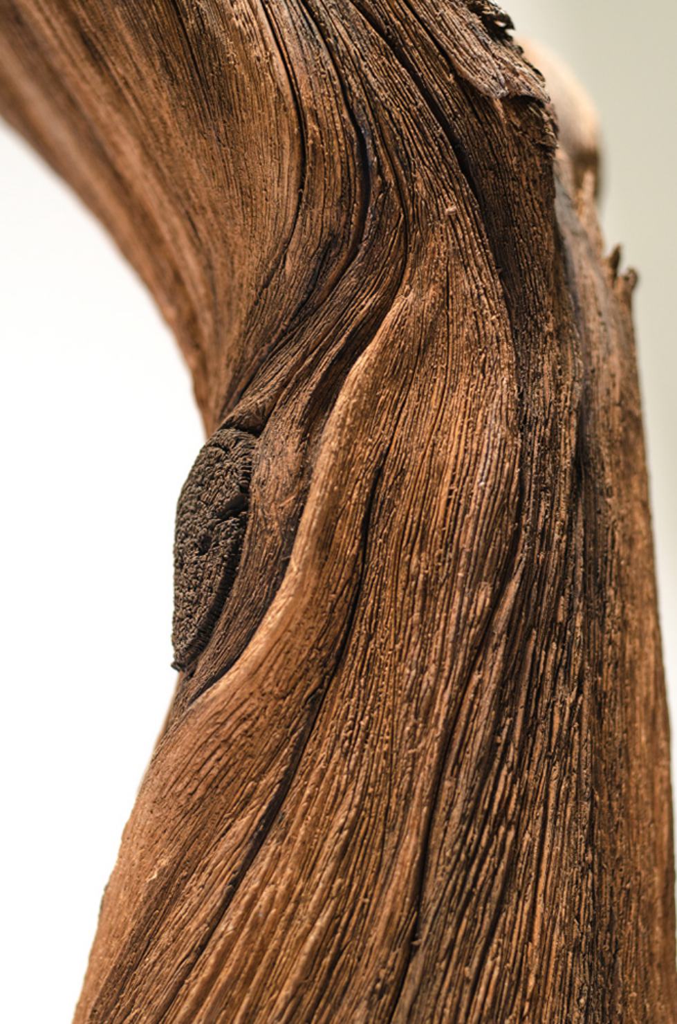 Surreal Ceramics That Look Like Wood