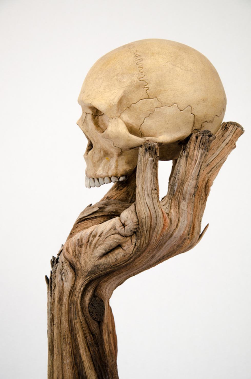 Surreal Ceramics That Look Like Wood