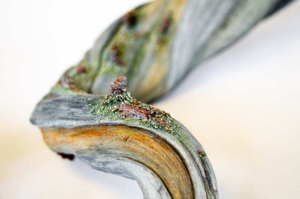Surreal Ceramics That Look Like Wood