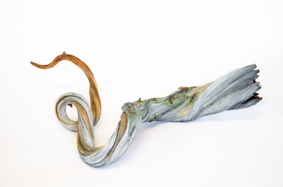 Surreal Ceramics That Look Like Wood