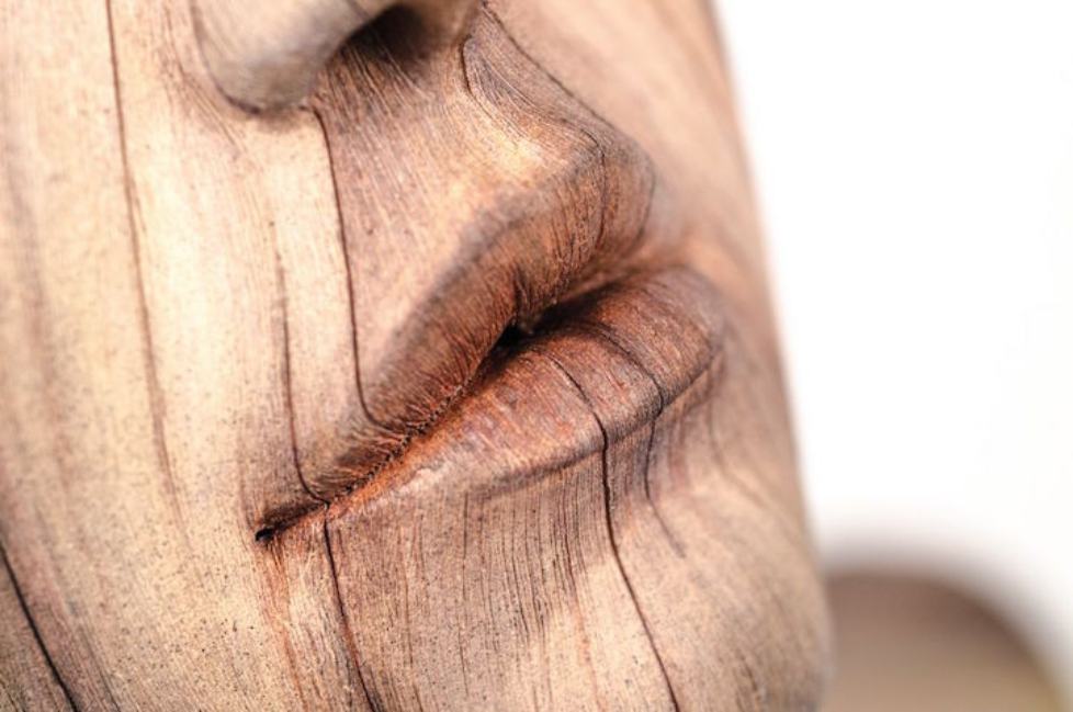 Surreal Ceramics That Look Like Wood
