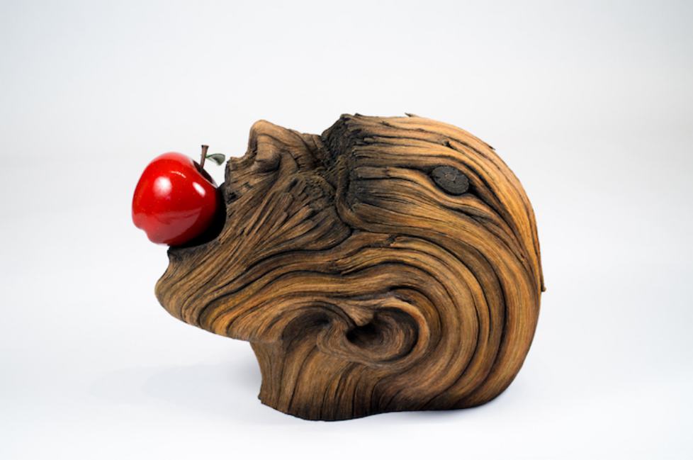 Surreal Ceramics That Look Like Wood