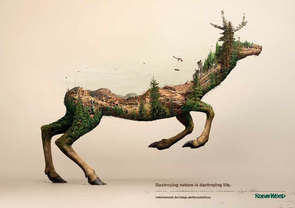 Robin Wood Disappearing Animals