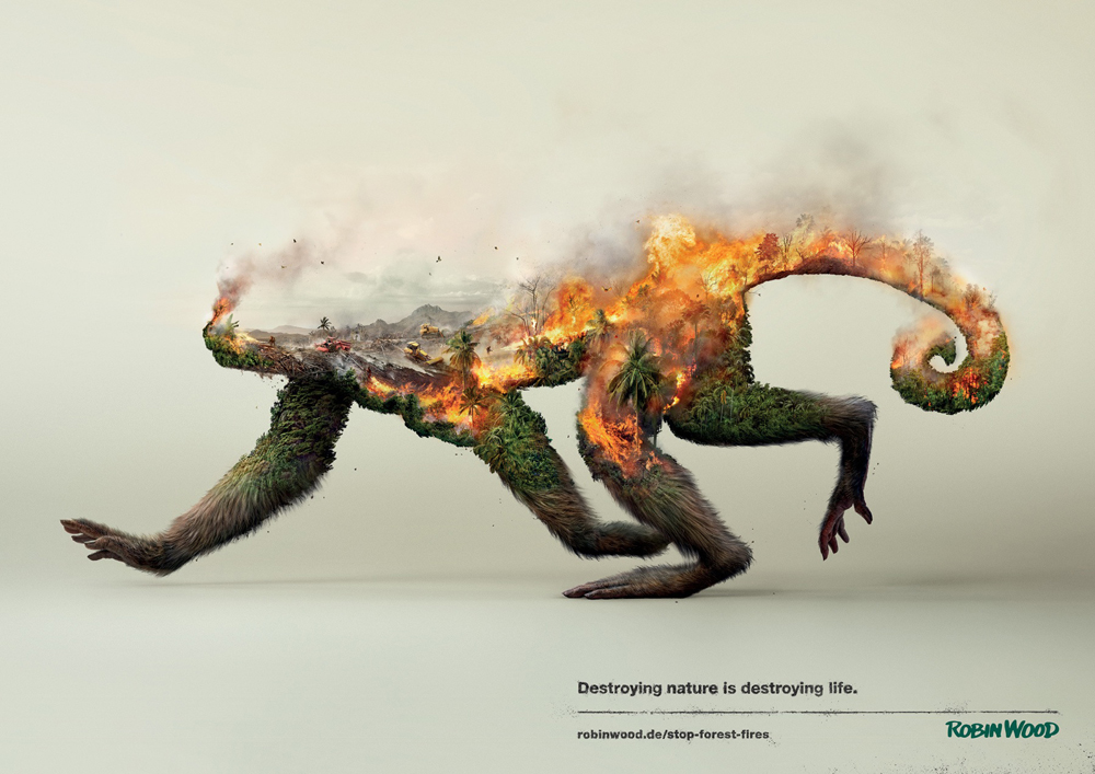Robin Wood Disappearing Animals