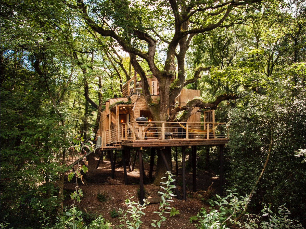 Luxurious Treehouse With A Sauna, Hot Tub And Slide