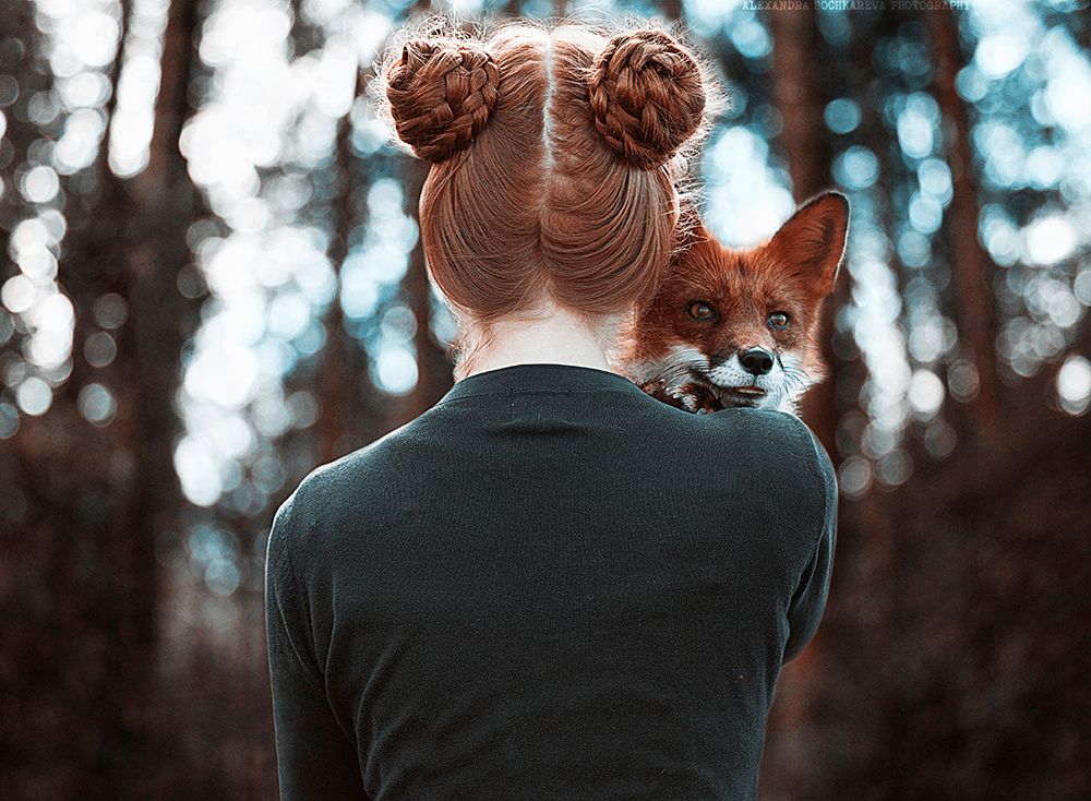 fox photo
