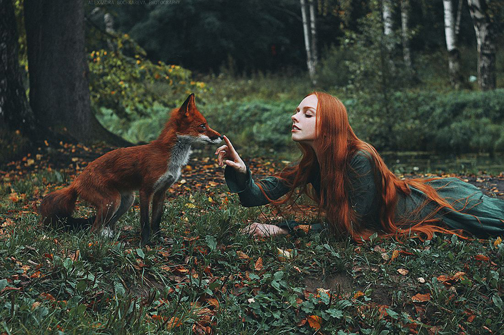 girl and fox photo