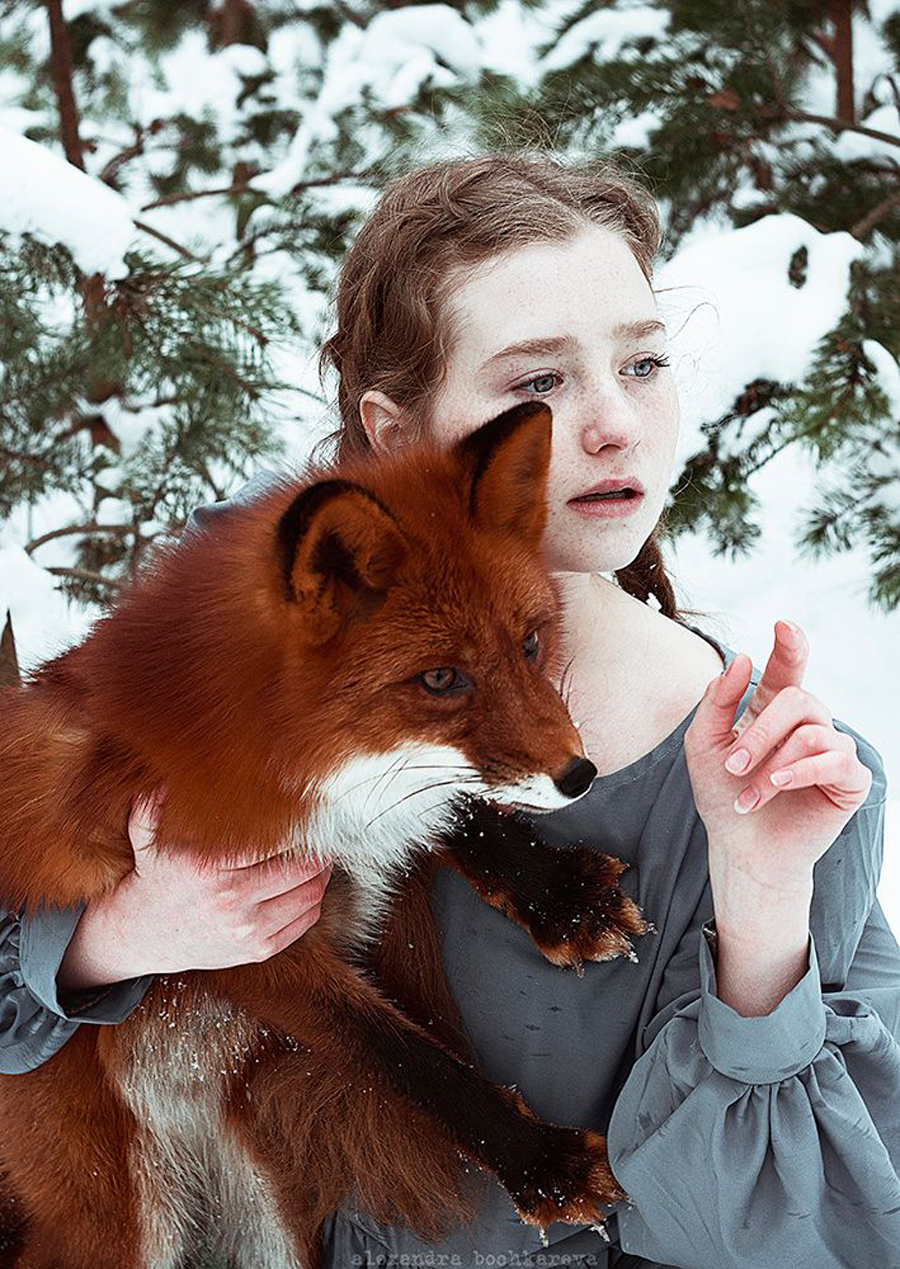 fox photo