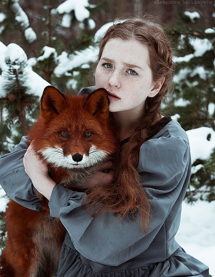 girl and fox photo
