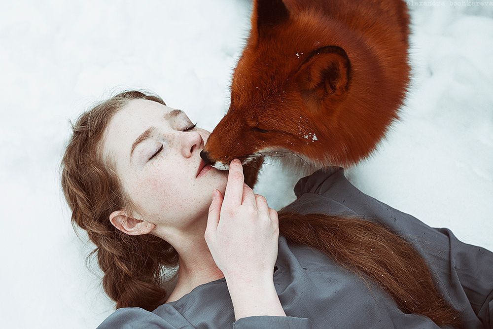fox Alice photo