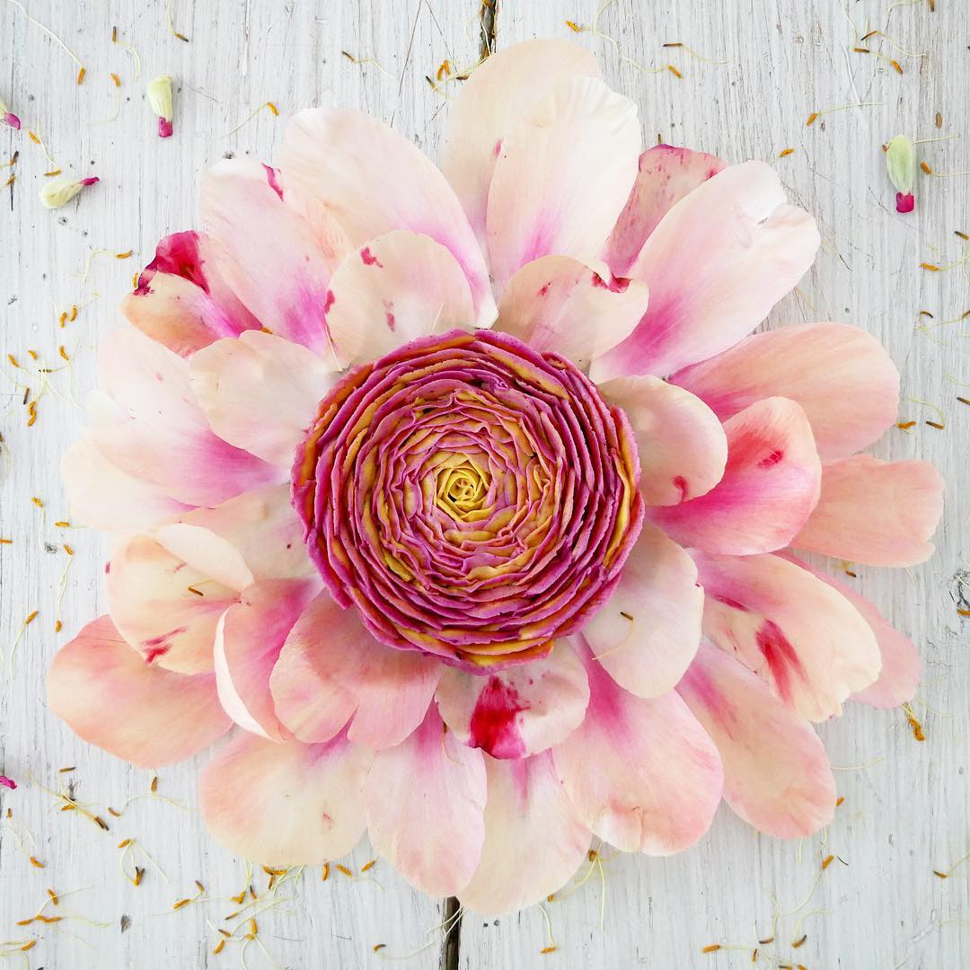 flower cakes