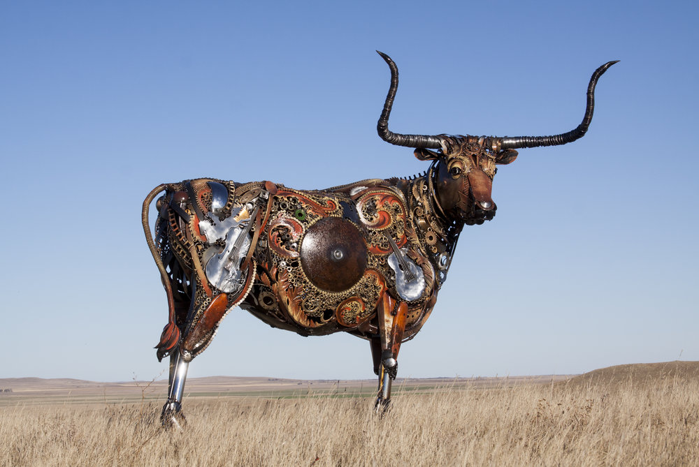 longhorn