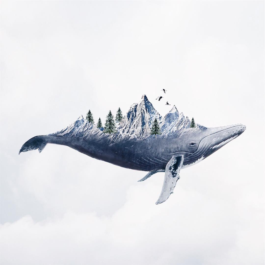 best surreal