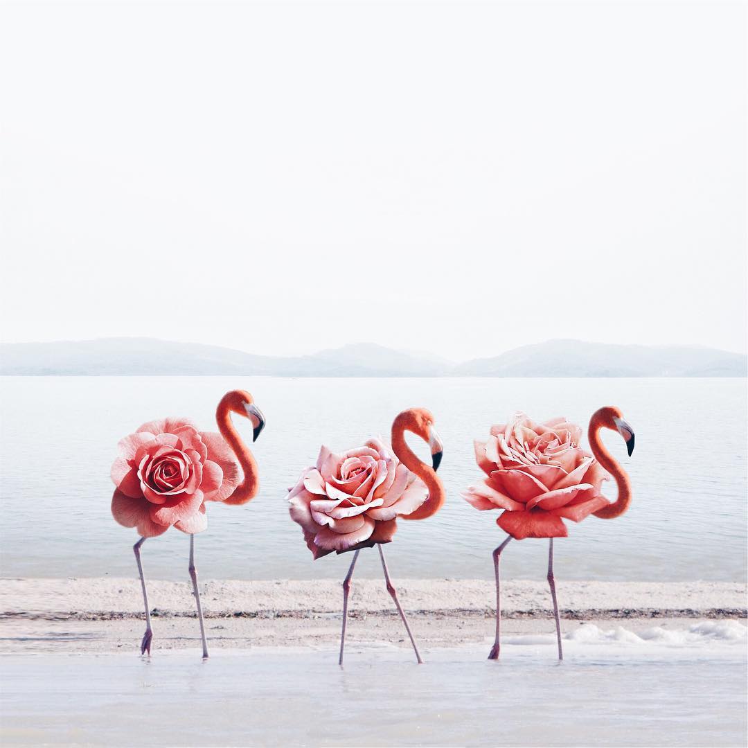 best surreal images